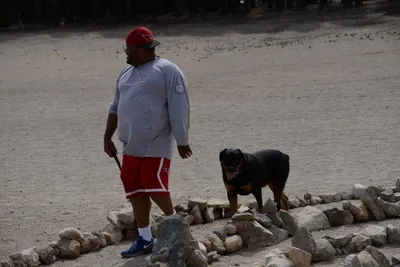 DSC_3006 (Large).JPG